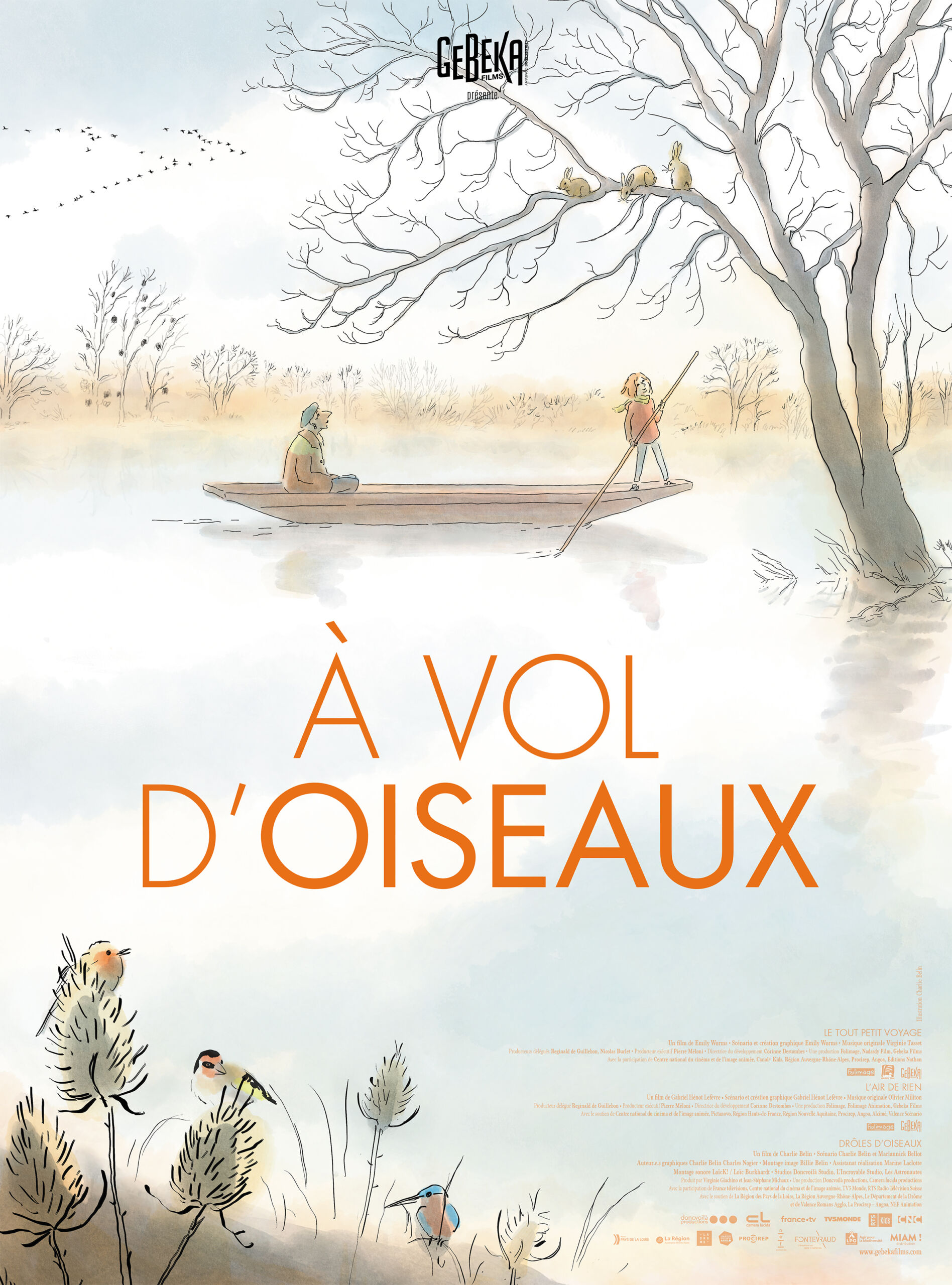 Affiche film A vol d’oiseaux