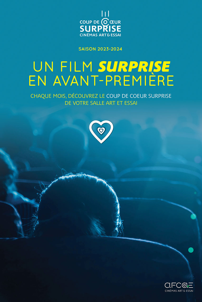 Affiche film Coup de cœur surprise mai