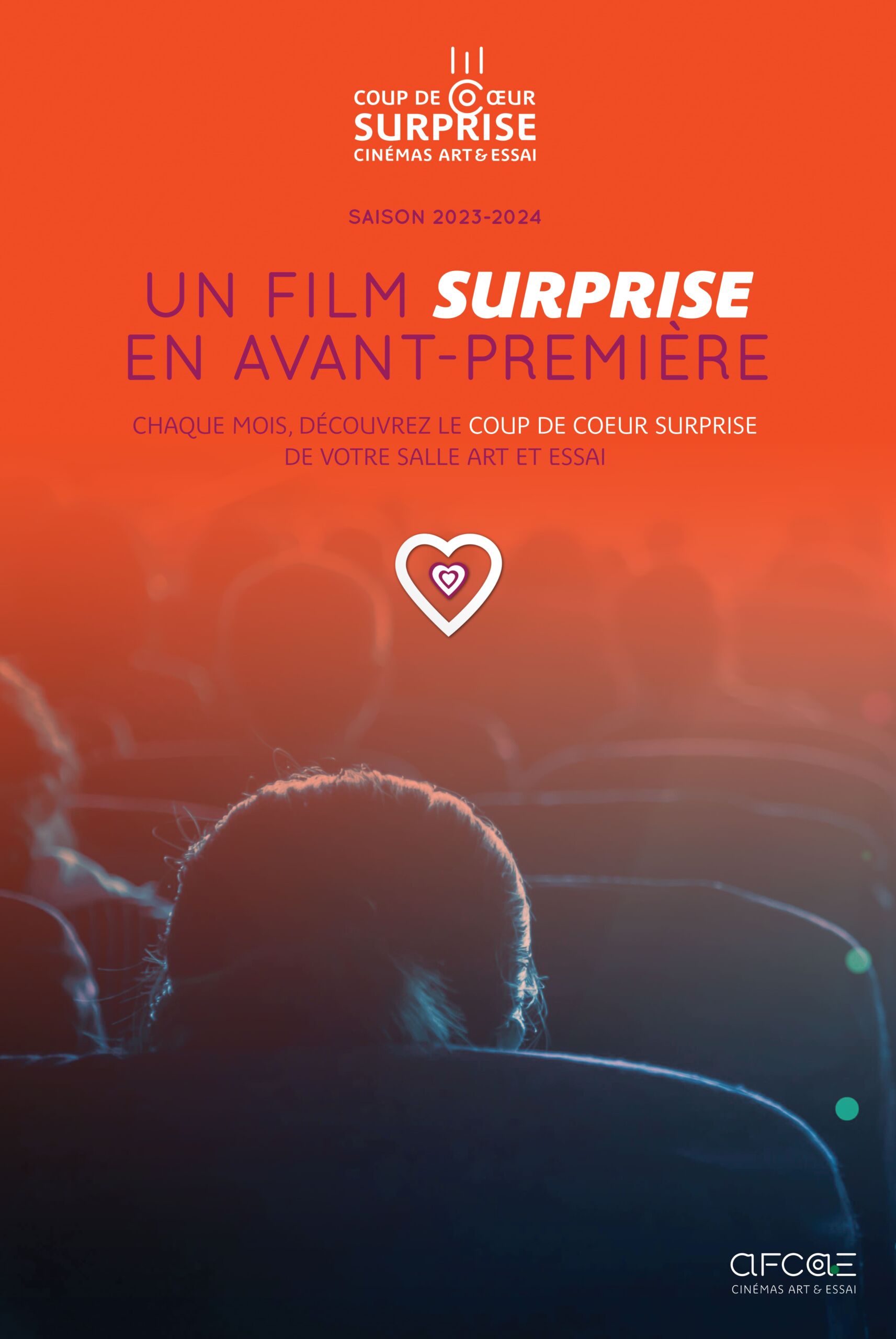 Affiche film Coup de cœur surprise mars