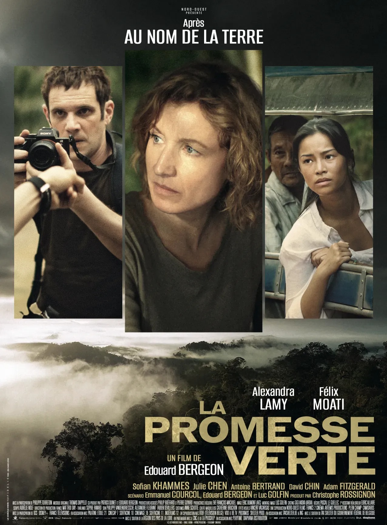 Affiche film La promesse verte