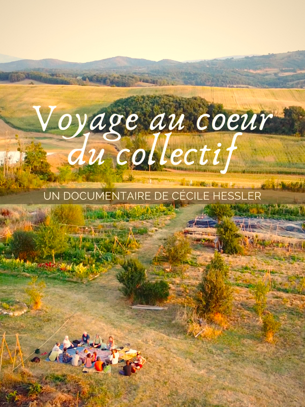 Affiche film Voyage au cœur du collectif