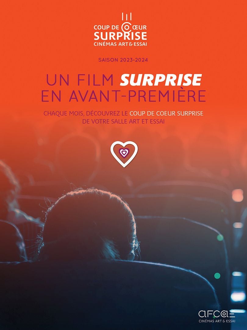 Affiche film Coup de cœur surprise