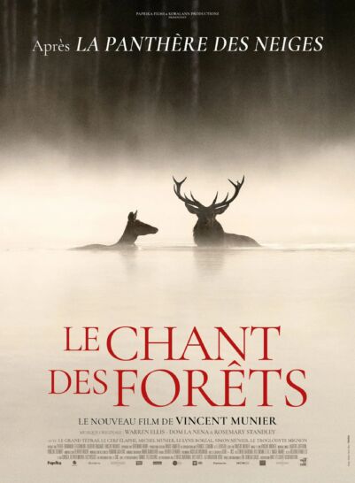 Affiche Le chant des forêts