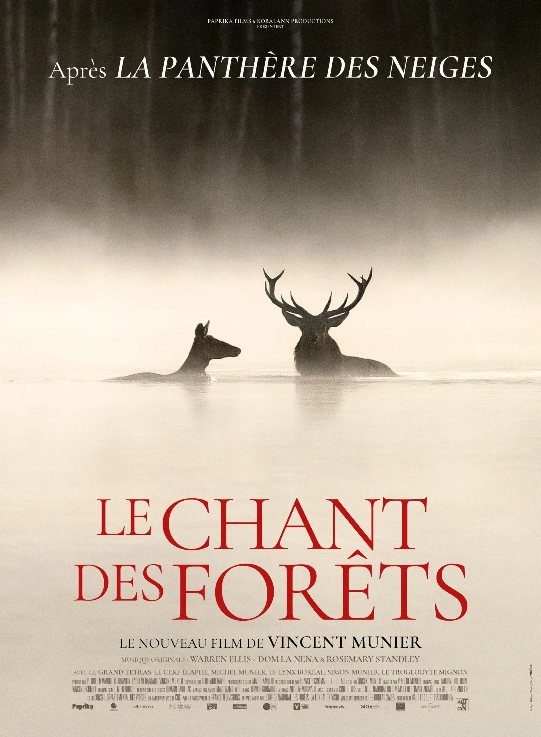 Affiche film Le chant des forêts