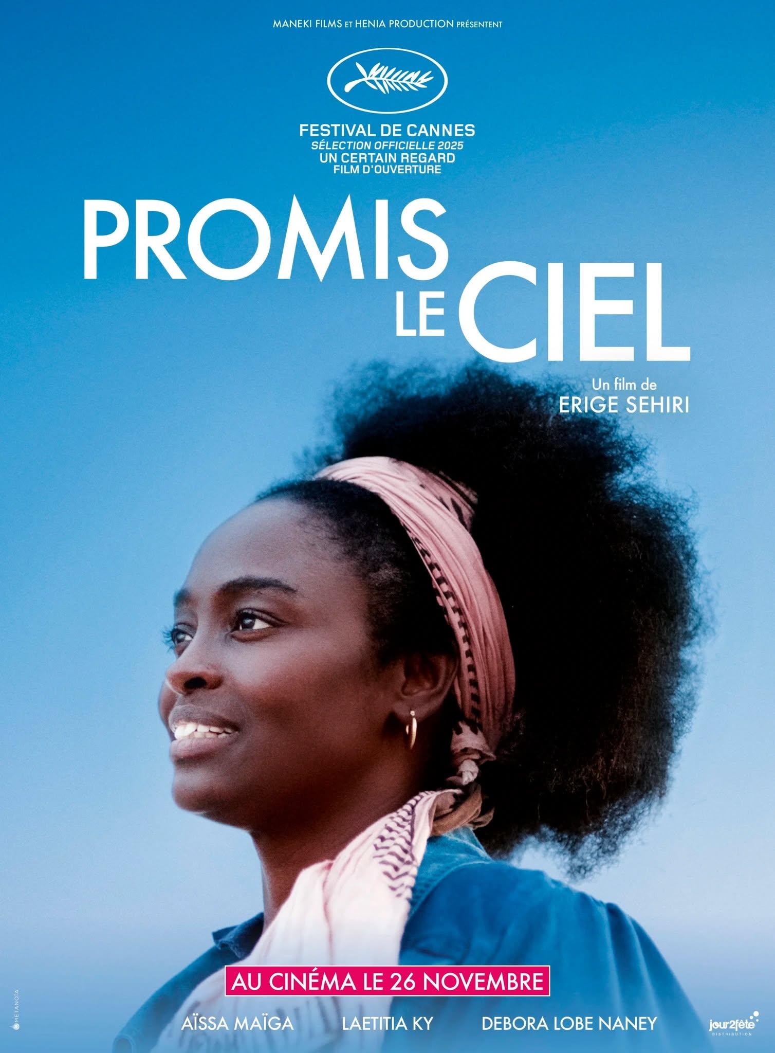 Affiche film Promis le ciel