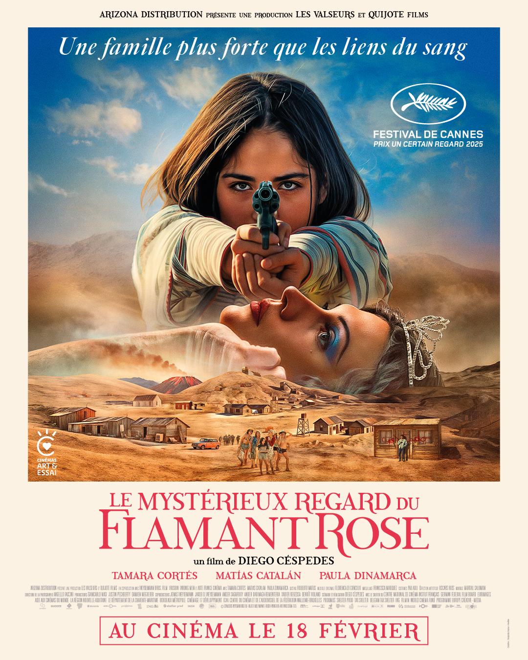 Affiche film Le mystérieux regard du flamant rose