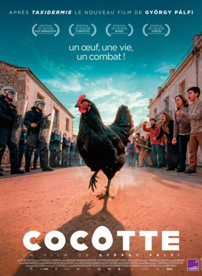 Affiche Cocotte