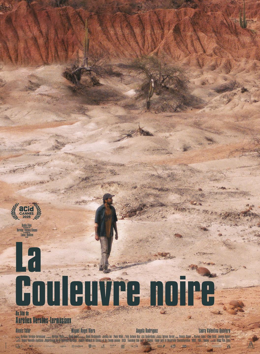 Affiche film La Couleuvre noire