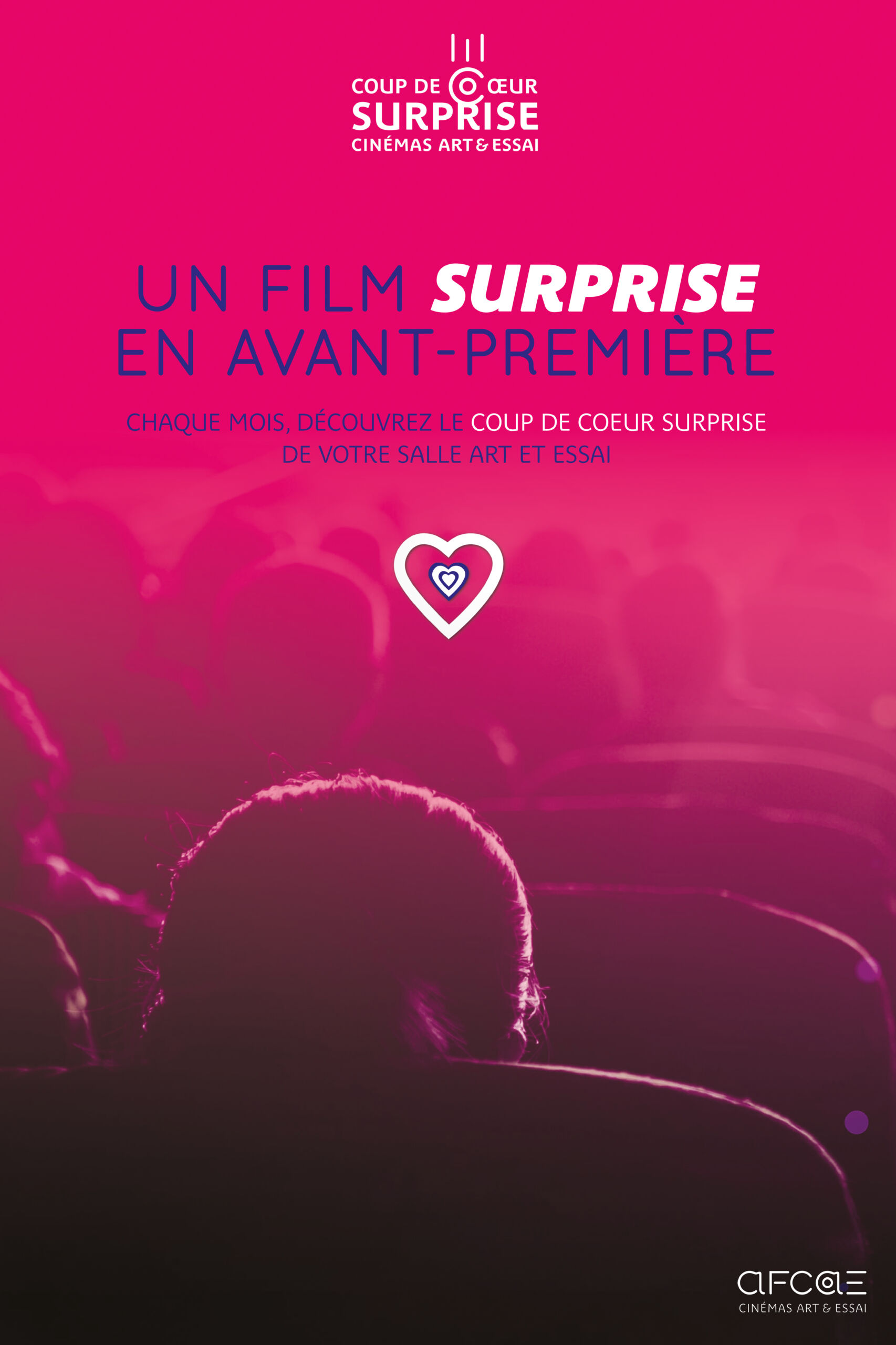 Affiche film Coup De Coeur Surprise