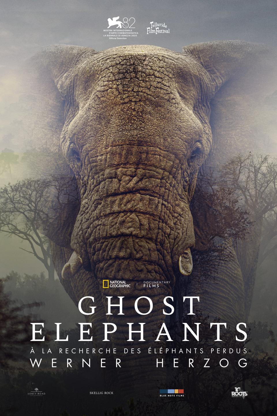 Affiche film Ghost Elephants