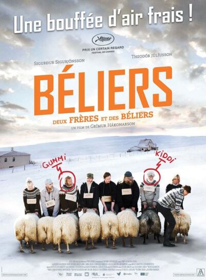 Affiche Béliers