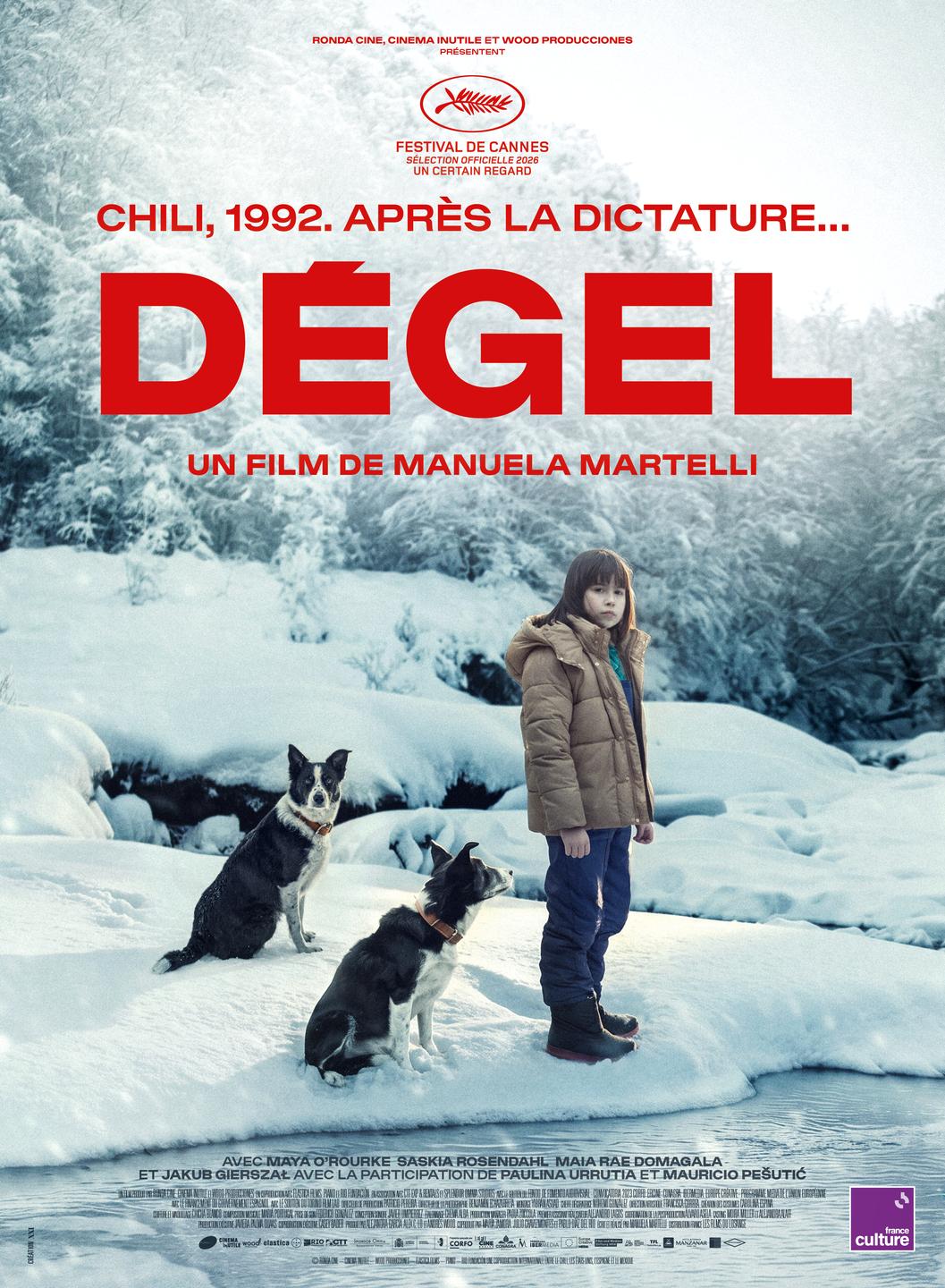 Affiche film Dégel