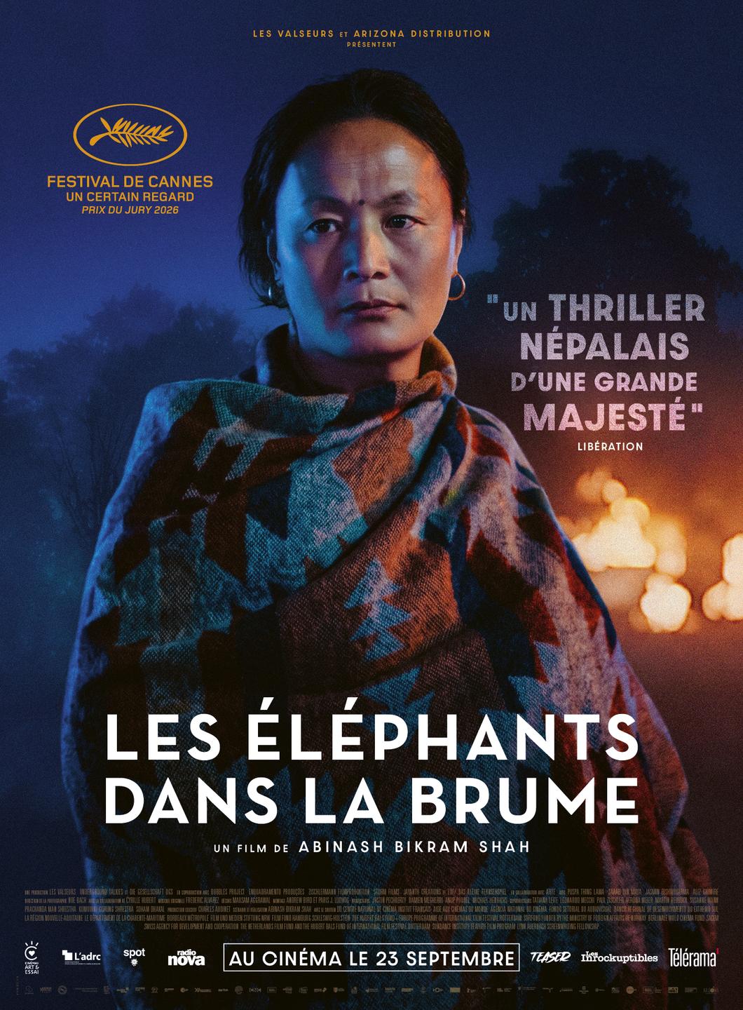 Affiche film Les Éléphants dans la brume